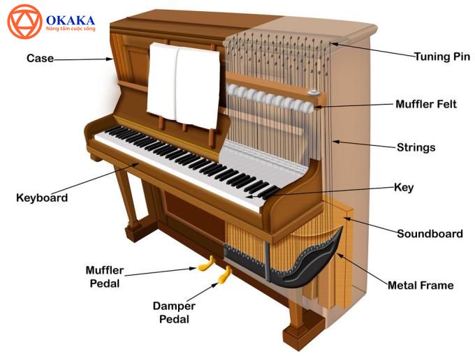 ...Bài viết dưới đây OKAKA sẽ giúp bạn hiểu rõ công dụng của các loại pedal đàn piano và cách giậm pedal đàn piano chuẩn...