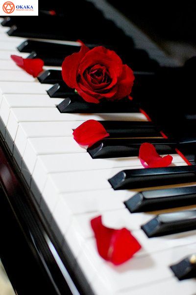 Đàn piano là một nhạc cụ đặc biệt ở nhiều mặt, nó có một sức hút mãnh liệt với bất kì ai đã từng nghe, xem và biết về nó. Giá trị của piano không chỉ đơn giản nằm ở sự kì diệu của thanh âm nó mang lại mà còn ở cả khía cạnh lịch sử thú vị. Dù là một nhạc công piano chuyên nghiệp, một người chơi piano góp vui cho gia đình hay chỉ là một thực khách mong muốn thưởng thức thứ âm nhạc trừu tượng của piano, bạn cũng sẽ không khỏi bất ngờ khi một lần được nghe về lịch sử đàn piano ngày nay.