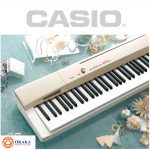 Nhạc công Phil O’Keefe đánh giá đàn piano điện Casio PX-160