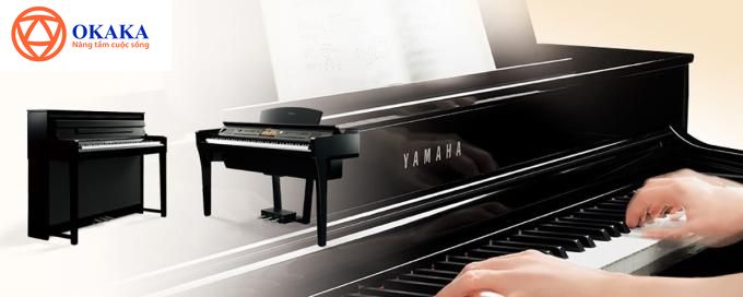 Tất cả các cây đàn piano điện trong series CLP và CVP của Yamaha đều được gọi là Clavinova, vậy điều gì quyết định sự chênh lệch giá cả giữa hai series đàn này? Sự khác biệt giữa đàn piano điện Yamaha Clavinova CVP và Clavinova CLP là gì? Trong bài viết này, OKAKA Music sẽ cùng bạn so sánh.