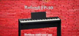 Nếu nghĩ vậy thì có lẽ bạn chưa biết có một cây đàn piano điện mới đáp ứng đủ 3 tiêu chí trên! Đó chính là đàn piano điện Roland FP-30! Với Roland FP-30, ước mơ sở hữu một cây đàn piano giá mềm nhưng cho âm thanh tuyệt vời trong kiểu dáng nhỏ gọn sẽ sớm trở thành hiện thực!