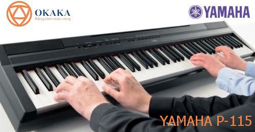 Bài viết này so sánh đàn piano điện Yamaha P-45 và P-115 từ việc chế tạo cho đến cách chơi mỗi cây đàn để giúp bạn đưa ra quyết định đúng..