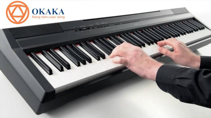 Là model tiêu biểu trong dòng P-series, đàn piano điện Yamaha P-115 với thiết kế hiện đại và nhiều tính năng độc đáo thực sự rất thích hợp...