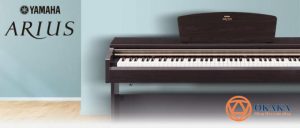 Sử dụng bàn phím Graded Hammer Standard (GHS) và động cơ âm thanh Pure CF, đàn piano điện Yamaha YDP-143 dòng Arius mang lại âm thanh và độ nhạy phím đáp ứng nhu cầu của bất kỳ người chơi nào.