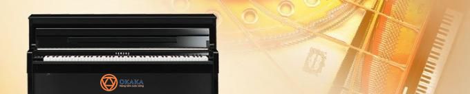Đàn piano điện yamaha CLP-545 dòng Clavinova được xem là phiên bản cải tiến nho nhỏ của series đỉnh cao Clavinova CLP-500. Dù không có quá nhiều điểm “cách mạng” khác biệt so với “người em” Yamaha CLP-535 nhưng CLP-545 vẫn sẽ khiến bạn phải cân nhắc bởi khả năng biểu cảm và tái tạo âm thanh sống động như grand piano.