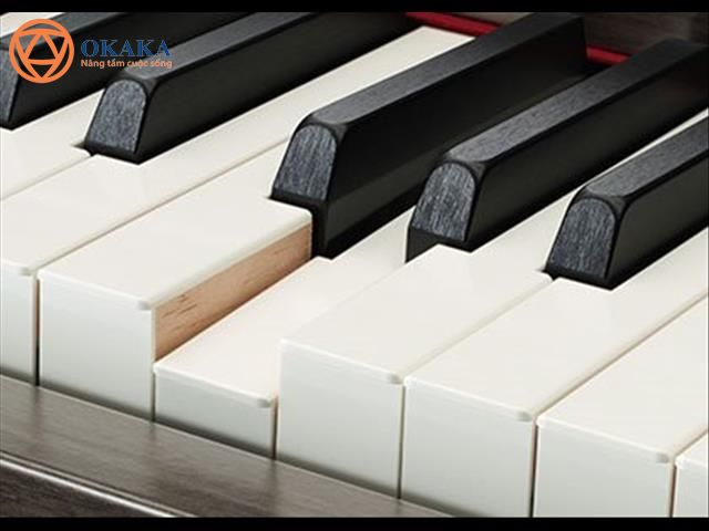 Nếu trót mê mẩn âm thanh, thiết kế và độ nhạy phím của dòng Clavinova “có tiếng trong giang hồ” nhưng chưa đủ sức “chiêu nạp” những model cao cấp thì model đàn piano điện Yamaha CLP-625 với các tính năng vượt trội là lựa chọn phù hợp cho bạn trong tầm giá.