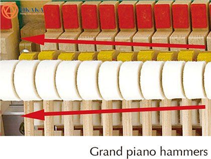 Nếu bạn muốn biết sự khác nhau giữa đàn piano điện Yamaha CLP-645 và CLP-675 dòng Clavinova thì bạn đã ở đúng nơi! Mặc dù hai cây đàn piano điện này xếp cạnh nhau trong series CLP-600 nhưng có một vài tính năng thực sự tách biệt chúng.