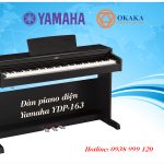 Nhiều khách hàng tâm sự với OKAKA rằng họ rất thích, rất ấn tượng và rất “bồ kết” model đàn piano điện cao cấp Yamaha YDP-163 nhưng không đủ ngân sách để mua. Có lẽ họ không biết  OKAKA đang có chương trình ưu đãi giá đàn piano điện Yamaha YDP-163 giúp họ sớm sở hữu cây đàn piano điện tuyệt vời trong dòng Arius này với giá “thật khó tin”!
