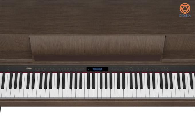LX-7 và LX-17 là những cây đàn piano điện có kiểu dáng upright tốt nhất hiện nay của Roland. Được công bố hồi đầu năm 2015, cùng với Roland HP-603 và HP-605, LX-7 và LX-17 là những chiếc đàn piano điện cao cấp mang đến cho người chơi trải nghiệm tuyệt vời. Roland chỉ chế tạo piano điện và không chế tạo piano cơ như một số nhà sản xuất khác – điều này cho phép họ tập trung các nguồn lực vốn có để tạo ra một âm thanh piano tuyệt vời nhất có thể. Trong vài năm gần đây, Roland đã phát triển công nghệ hiện tại để cải thiện âm thanh và cảm giác của các nhạc cụ, và cả đàn piano điện Roland LX-7 và LX-17 đều hết sức tuyệt vời.