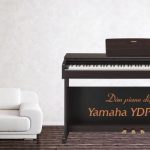 Trong bài viết này, OKAKA sẽ cùng bạn đánh giá đàn piano điện Yamaha YDP-143 cả về kiểu dáng, âm thanh và màn trình diễn. Song song đó cũng sẽ so sánh với các model đàn piano khác trong dòng Arius - cụ thể là Yamaha YDP-103, Yamaha YDP-163 và Yamaha YDP-V240