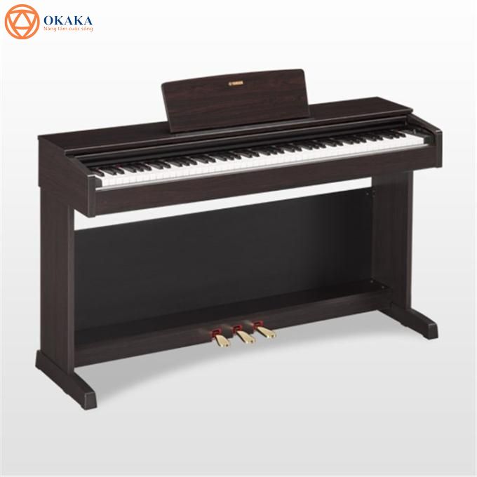 Và nếu có ý định mua đàn piano điện Yamaha YDP-143 hay bất kỳ model nào khác trong dòng Arius, bài viết này sẽ rất cần thiết cho bạn!