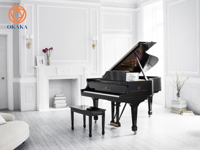 Không có gì phải nghi ngờ, thương hiệu đàn piano nổi tiếng nhất chính là Steinway, còn được biết đến với tên gọi Steinway và Sons. Những cây đàn piano Steinway có di sản và lịch sử lâu đời nhất và được phần lớn các nghệ sĩ dương cầm hòa nhạc sử dụng. Độ nhạy phím và cảm giác bàn phím cùng với âm thanh đẹp độc đáo phát ra khi gõ phím không còn là điều bí mật đối với thương hiệu piano hàng đầu này. Vậy nguồn gốc chính xác của những cây đàn piano lâu đời này là từ đâu?