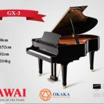 Đàn piano cơ Kawai GX-3 gây ấn tượng với âm thanh trang nhã và rõ ràng, đánh thức những đặc tính của một cây grand piano tuyệt vời hơn nhiều. Với âm thanh và độ nhạy phím nổi bật trong một kích thước linh hoạt, GX-3 là sự lựa chọn yêu thích của các nghệ sĩ chuyên nghiệp.