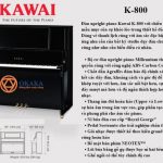 Kiểu dáng thanh lịch và âm thanh tuyệt vời của đàn upright piano Kawai K-800 sẽ đáp ứng nhu cầu biểu diễn cá nhân cũng như nhu cầu giảng dạy của bất kỳ studio chuyên nghiệp nào.