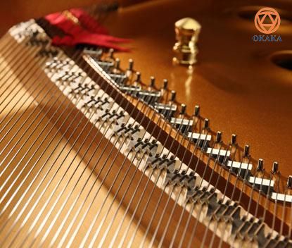 Đàn piano cơ Shigeru Kawai SK-EX thể hiện sự theo đuổi “tiêu chuẩn vàng” của Kawai trong việc chế tạo đàn piano: một nhạc cụ vô song được làm từ những vật liệu tốt nhất và được tạo ra bởi những nghệ nhân đầy lòng đam mê, giàu kiến thức và kinh nghiệm.