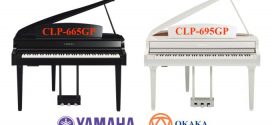 So sánh đàn piano điện Yamaha CLP-665GP và CLP-695GP