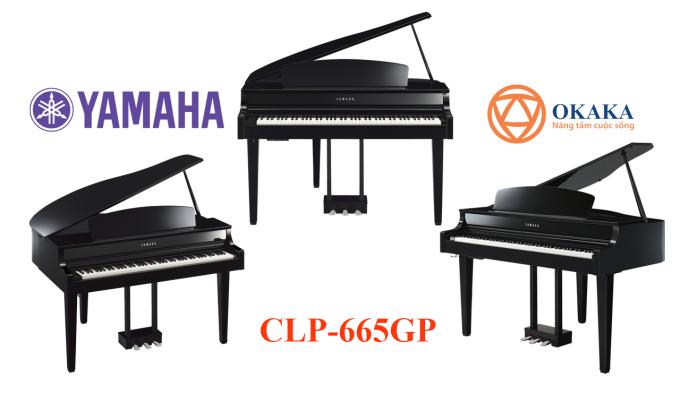 Yamaha CLP-695GP là model đàn piano điện có kiểu dáng grand piano thuộc dòng Clavinova của Yamaha mới ra mắt tại Hội chợ NAMM năm 2018. Hẳn bạn nghĩ rằng dòng CLP đã có model đàn piano điện Yamaha CLP-665GP mang kiểu dáng grand piano. Vậy thì 2 model này có gì giống nhau và model mới có những điểm đặc biệt đáng chú ý nào?
