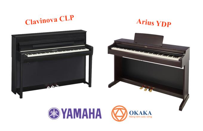 Clavinova và Arius là hai dòng đàn piano điện khác nhau được sản xuất bởi Yamaha. Hai dòng đàn này thoạt nhìn khá giống nhau, tuy nhiên, giữa chúng chắc chắn phải có những điểm khác nhau nào đó dẫn tới sự khác biệt về giá cả. Chúng ta hãy đi vào chi tiết hơn một chút để thấy rõ sự khác nhau giữa dòng đàn piano điện Yamaha Clavinova CLP và Arius YDP.