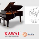 Được làm thủ công từ những vật liệu tái tạo quý giá, đàn piano Kawai GX-7 phiên bản giới hạn cung cấp độ nhạy phím vô song cùng âm thanh và biểu cảm trên cả tuyệt vời.