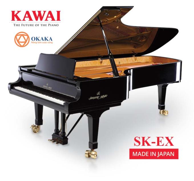 Đàn piano Shigeru Kawai SK-EX là cây grand piano dành cho hòa nhạc cao cấp nhất thế giới. Sức mạnh, tốc độ và khả năng phản ứng cùng với chiều sâu và độ tươi sáng của âm thanh SK-EX cho phép những người chơi giỏi nhất tạo ra những màn trình diễn hay nhất trên sân khấu của một phòng hòa nhạc lớn. Đây thực sự là một nhạc cụ tuyệt vời cả về kiểu dáng và âm thanh gây kinh ngạc cho khán giả.