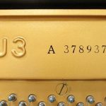 Hệ thống chữ cái mà Yamaha đã sử dụng cho dòng đàn upright piano U3 của họ có thể gây nhầm lẫn cho người mua. Vậy thì các chữ cái ký hiệu sau đàn piano Yamaha U3 (U3H, U3F, U3G, U3M, U3A...) có ý nghĩa gì?