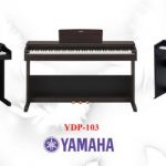 Đàn piano điện Yamaha YDP-103 mới ra mắt là cây đàn piano điện gia đình giá cả phải chăng nhất dòng Arius. Tuy nhiên, hẳn bạn sẽ tự hỏi ở tầm giá này còn có những lựa chọn tốt hơn nào để bạn xem xét không. Bài viết này sẽ tiến hành so sánh Yamaha YDP-103 với Roland RP-102 và Casio PX-770 – 2 model tương đương – để bạn đưa ra quyết định phù hợp nhất.