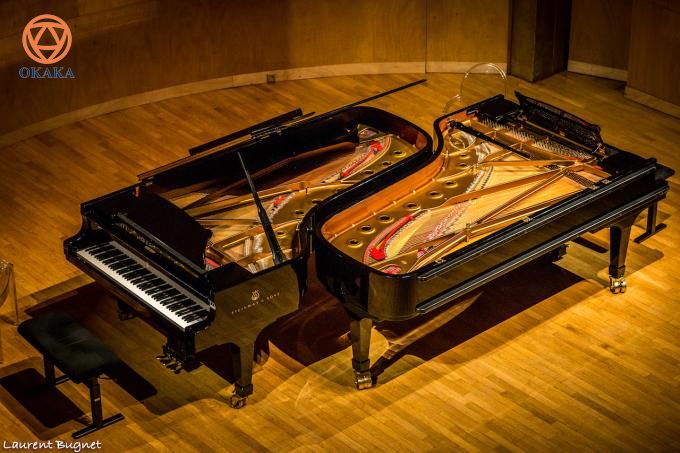 Hầu hết các cây đàn piano điện đều cung cấp nhiều loại âm thanh khác nhau. Hẳn bạn sẽ muốn biết đó là những âm thanh nào và sự đa dạng âm thanh trên đàn piano điện đến từ đâu. Bài viết này sẽ cung cấp cho bạn những thông tin thú vị đó.