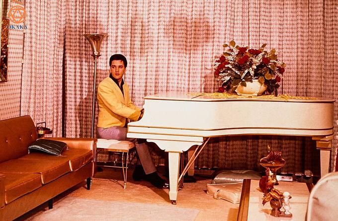 Những người nổi tiếng, từ Elvis Presley, Alicia Keys đến Robert Downey Jr... đã và đang sở hữu những cây đàn piano đẹp nhất. Vài người trong số họ là siêu sao của ngành công nghiệp âm nhạc, tuy nhiên những người khác trong danh sách này sẽ làm bạn ngạc nhiên đấy!