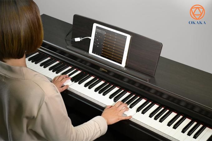 Hoàn hảo cho những người mới học và cả những người đam mê âm nhạc, đàn piano điện Yamaha YDP-164 dòng Arius không chỉ là người bạn đồng hành đáng tin cậy mà còn là sự bổ sung thanh lịch cho không gian sống của bạn. Nhạc cụ được chế tạo tinh xảo nhờ đỉnh cao của công nghệ và trình độ chuyên môn tiên tiến của Yamaha trong hơn một thế kỷ này chắc chắn sẽ không làm bạn thất vọng!