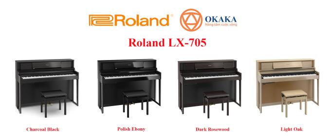 Trong khi những nghệ sĩ piano khó tính nhất tập trung vào 2 model LX-708 và LX-706, các nghệ sĩ có ngân sách hạn hẹp hơn sẽ bị ấn tượng bởi đàn piano điện Roland LX-705, model vẫn giữ được nhiều tính năng nổi bật tương tự trong một tủ đàn có giá cạnh tranh.
